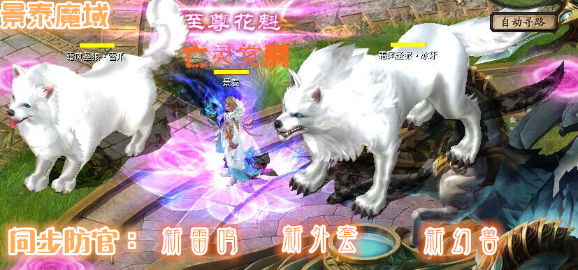 独家版本 ，领衔行业
